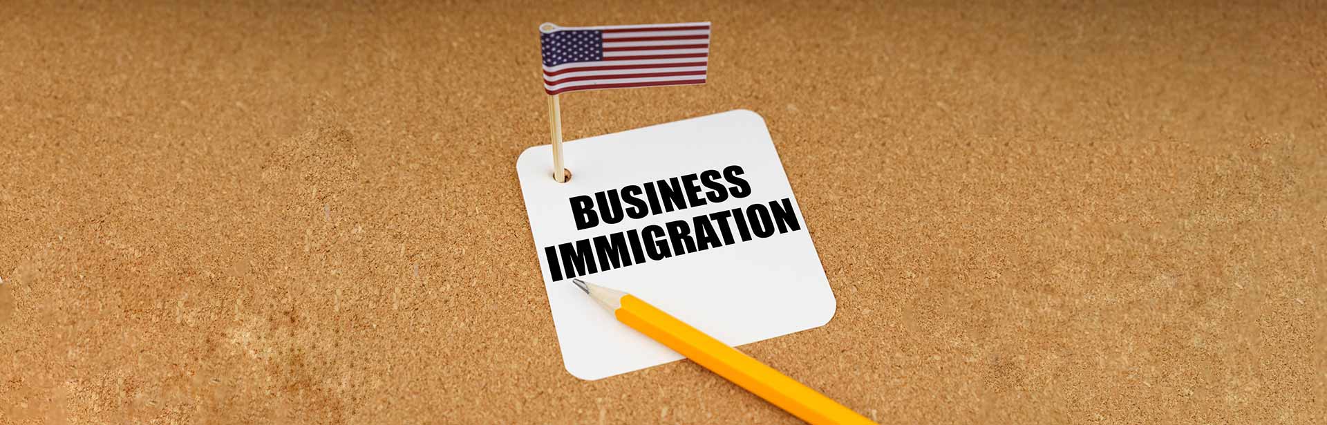 Business Immigration Lawyer